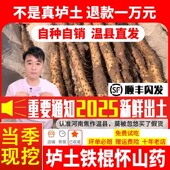 河南焦作温县正宗5斤垆土农家铁棍山药新鲜淮山怀山原产地直发