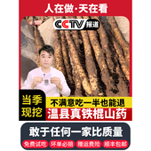 温县垆土铁棍山药正宗河南焦作新鲜铁杆怀山药特产淮山药粉干5斤