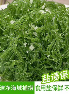 盐渍龙须菜250克 天然霞浦海发菜绿色凤尾海草海藻涮火锅凉拌菜