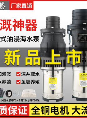 韩腾轻便型QY海水养殖潜水泵耐腐蚀380v抽水机农用大流量灌溉水泵