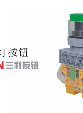 LAY37SLA7-11DZS带灯按钮开关自锁带锁12V24V220V380V上海三利