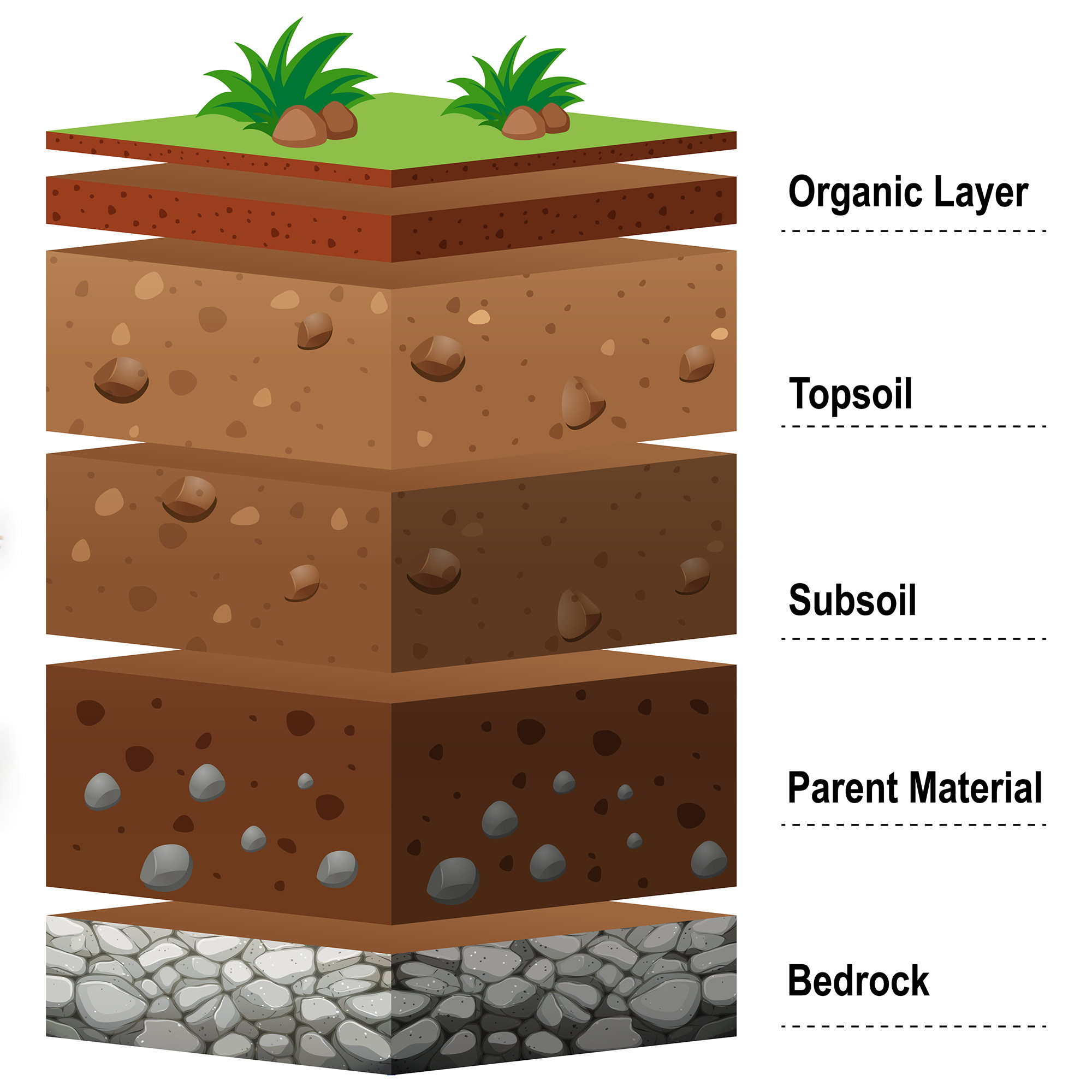 ai格式矢量素材地球土壤剖面土层示意图地下岩石地理结构图表插画