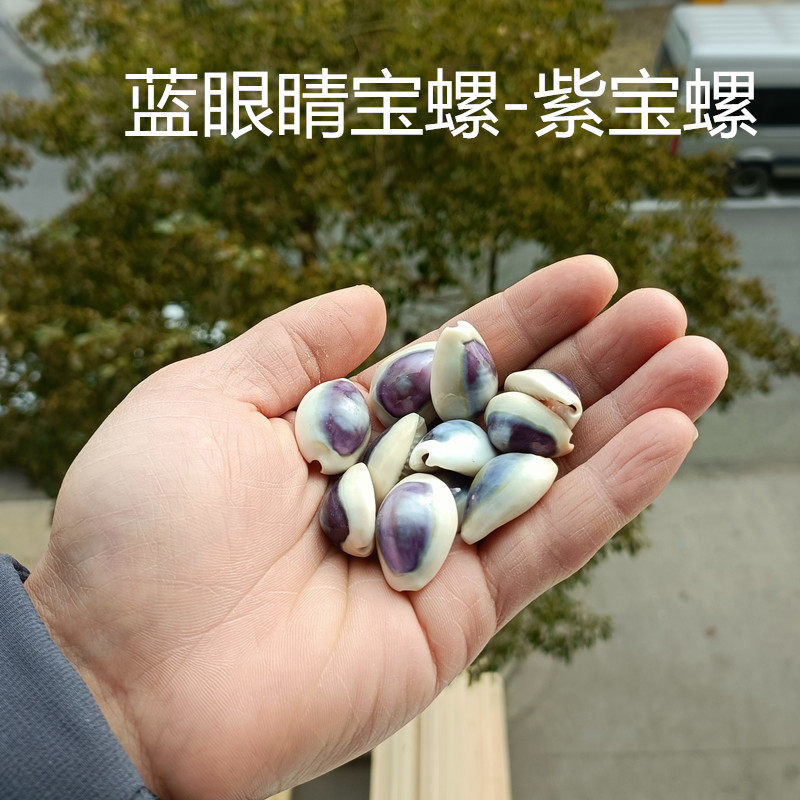 자연 조가비 껍질 보라색 달팽이 푸른 눈 달팽이 물고기 탱크 수족관 장식 조경 포장 홈 층