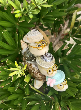 热卖海螺贝壳工艺品博