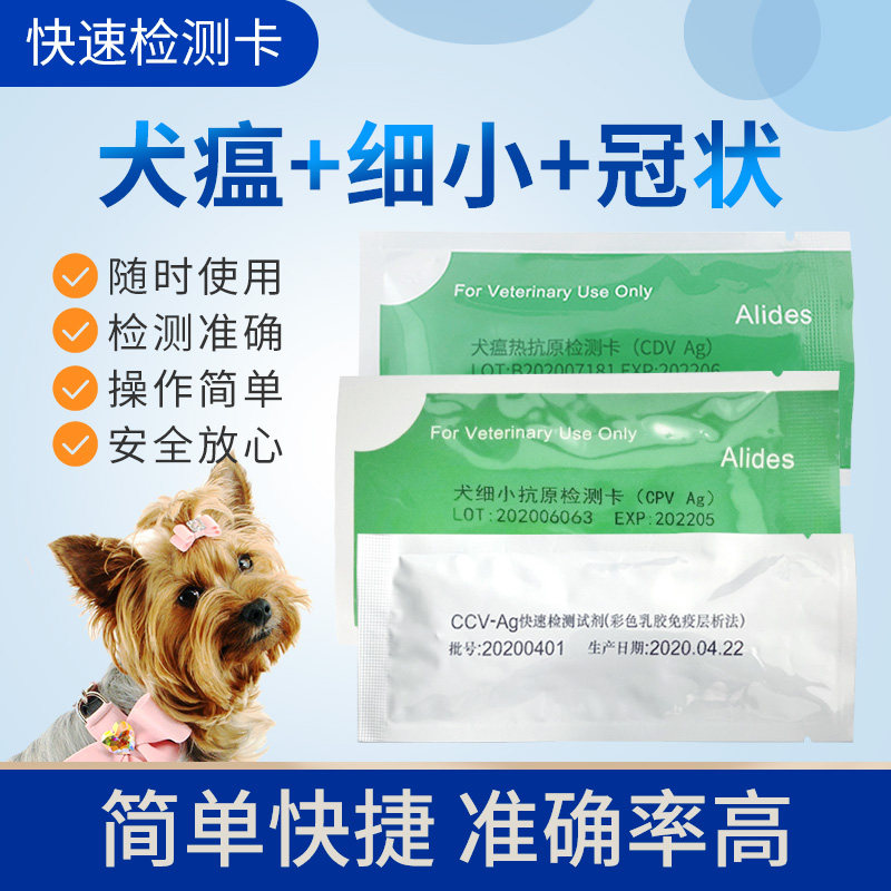犬瘟热试剂纸犬细小检测卡检测宠物狗犬舍鼻涕唾液cdv防疫体检