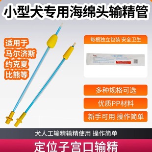 倍特双犬输精管马尔济斯输精小型犬人工输精约克夏输精管新手输精