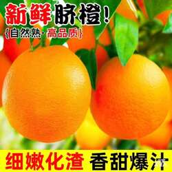 正宗赣南脐橙信丰脐橙新鲜甜橙水果江西产地直发果园现摘现发整箱