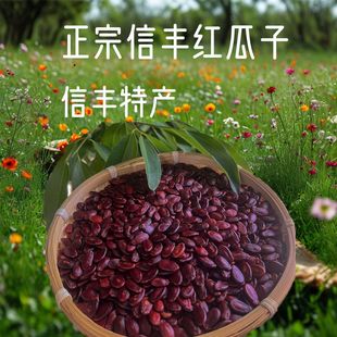 信丰原味红瓜子江西赣州客家特产炒熟瓜子红皮西瓜子婚庆喜宴招待