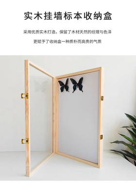 蝴蝶昆虫标本展示盒相框收纳框