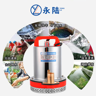 12V高扬程直流潜水泵24V4u8V60V72伏抽水泵家用农用灌溉电瓶抽水