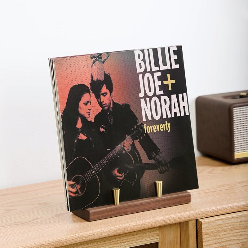 黑胶唱片架d展示架LP黑胶柜轻奢实木黄铜不锈钢CD架收纳架桌面陈,收纳整理,CD架,淘宝优惠券,粉丝福利购,淘宝优惠卷