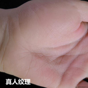 男手模女手模手膜道具模特硅胶手掌模型手臂N仿真倒模模具男性手