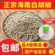 6A白胡椒粒500g正宗海南特一级农产品产新干货精选商食用调味卤料
