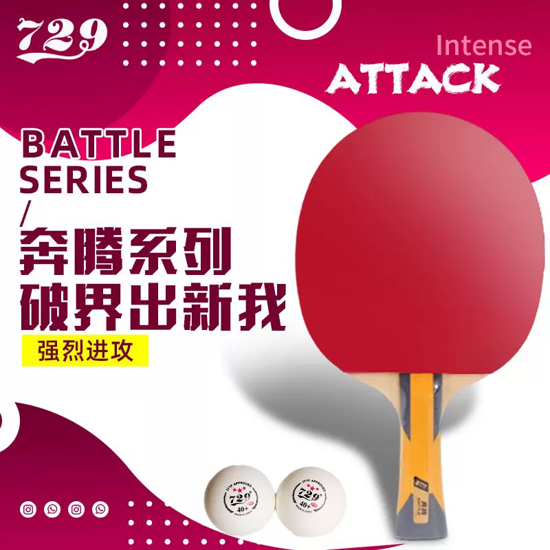 友谊729奔腾8星专业级碳素成品拍