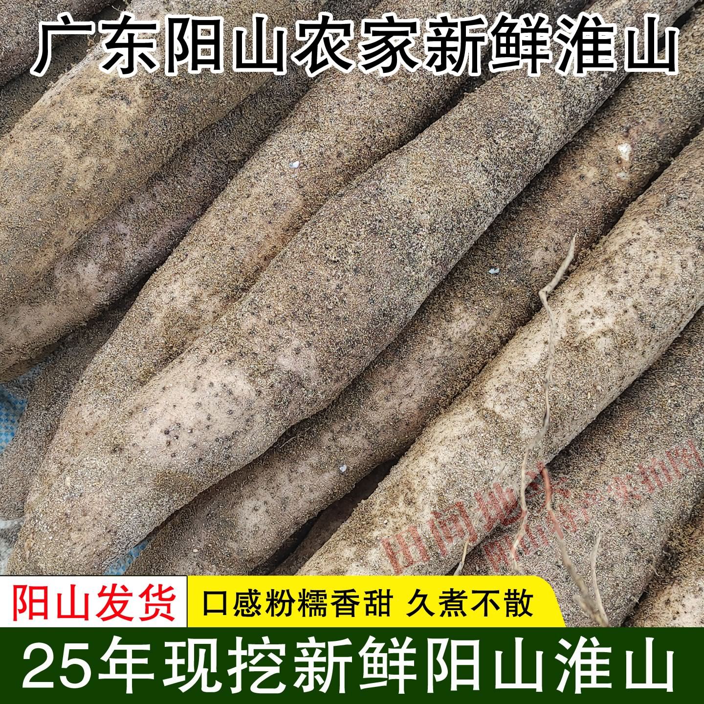 广东阳山淮山特产新鲜现挖粉糯山药粗山药菜山药农家种植产地直发,水产肉类/新鲜蔬果/熟食,新鲜山药,淘宝优惠券,粉丝福利购,淘宝优惠卷