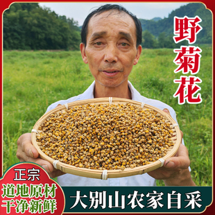 花泡茶中药材菊胎250 山区野菊花 大别山小野菊米野生散装 500g