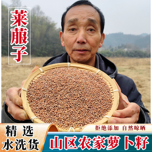 山区农家莱菔子萝卜籽来服子罗卜子萝白子菜头子野外生长无硫药材
