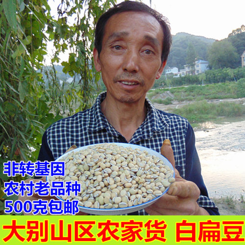 农家老品种白扁豆野外生白扁豆