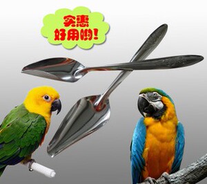 牡丹虎皮玄凤宠物鸟小鹦奶粉专用不锈钢手养喂奶勺子零天起适用