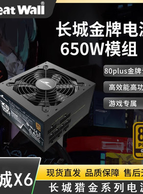 Greatwall/长城电源长城电源X6额