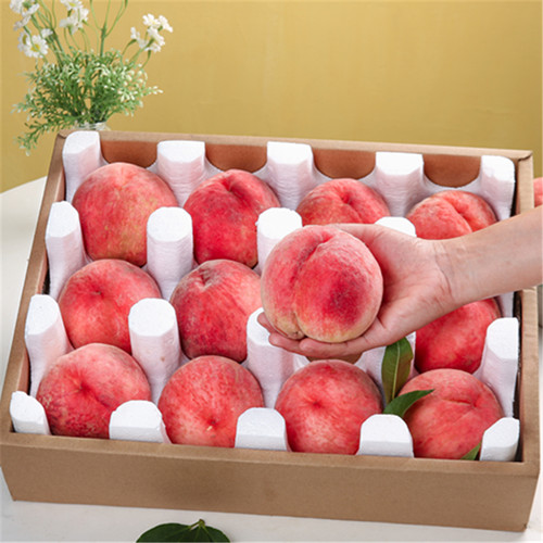 现摘现发砀山农家新鲜突围水蜜桃应季水果脆桃子10斤整箱包邮