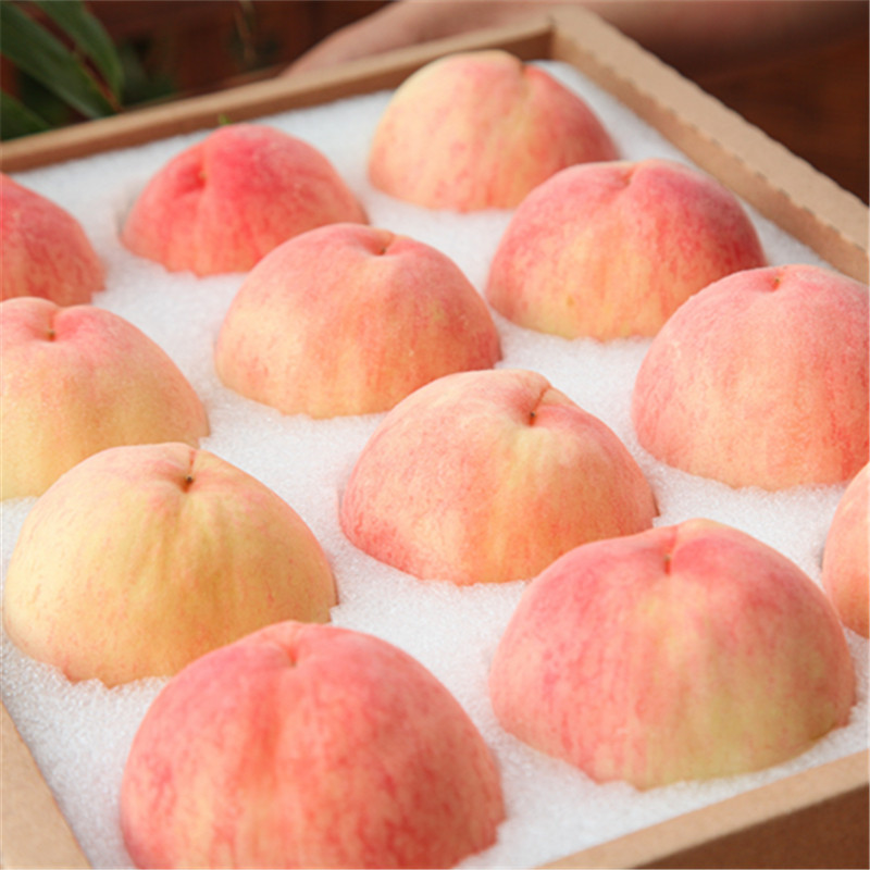 新鲜桃子正宗无锡水蜜桃当季新鲜整箱水果包邮大全