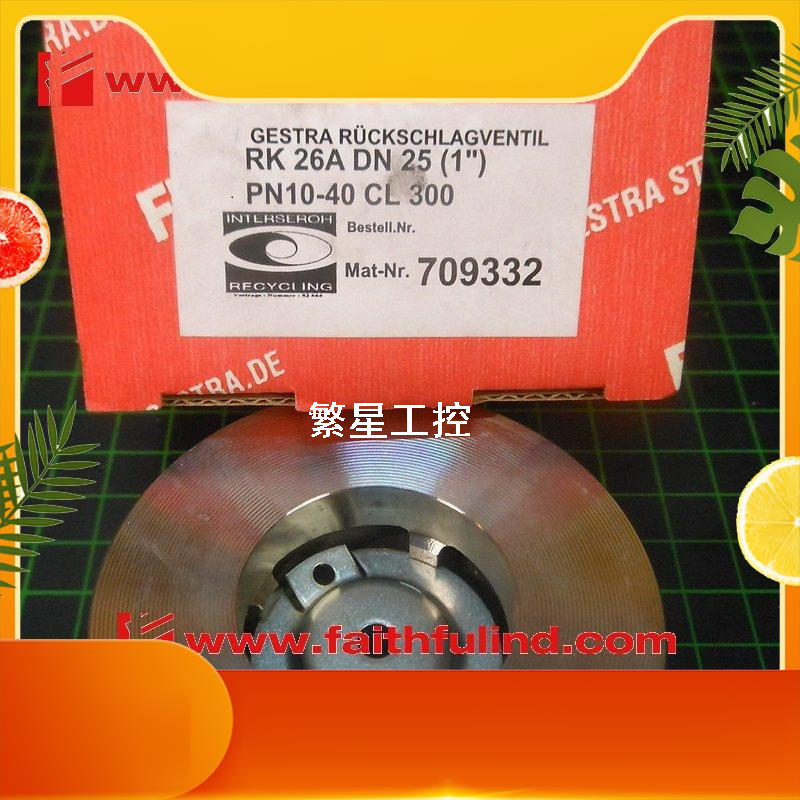 商品议价GESTRA RK26A 杰斯特拉全新止回阀 RK 26A DN25 PN40 709
