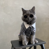 Кошка осень и зимняя одежда Pet Cat Cat Котенок Короткий голубая кошачь