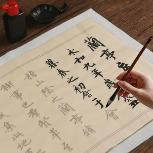 王羲之兰亭序行书毛笔临摹字帖圣教序书法描红初学者入门练习宣纸