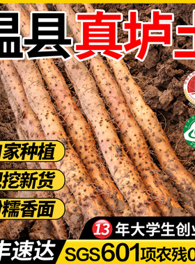 怀涛铁棍山药河南焦作温县正宗垆土铁棍淮山药新鲜5斤铁杆怀山药