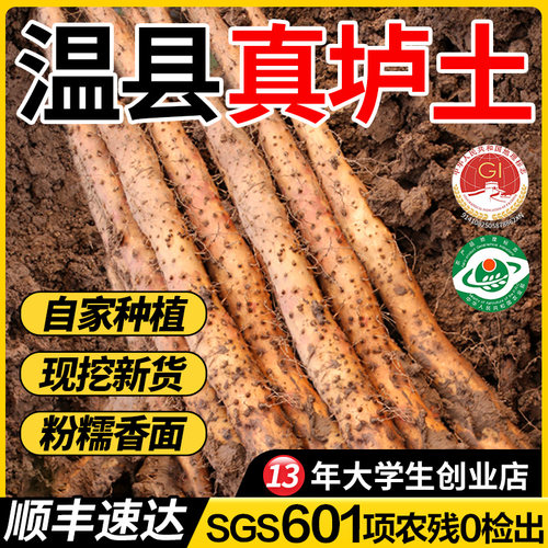 怀涛焦作温县5斤装垆土铁棍山药