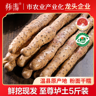怀涛河南焦作温县正宗精品垆土铁棍山药新鲜怀淮山铁杆铁棒山约