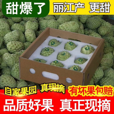 【顺丰包邮】凤梨释迦果新鲜大果5斤番荔枝佛头果牛奶果水果年货