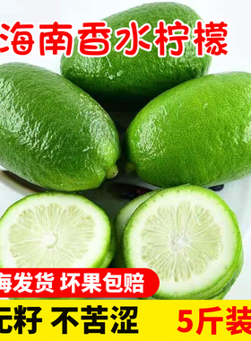 上海发海南香水柠檬10斤台湾子弹头青柠新鲜水果一级果奶茶店专用