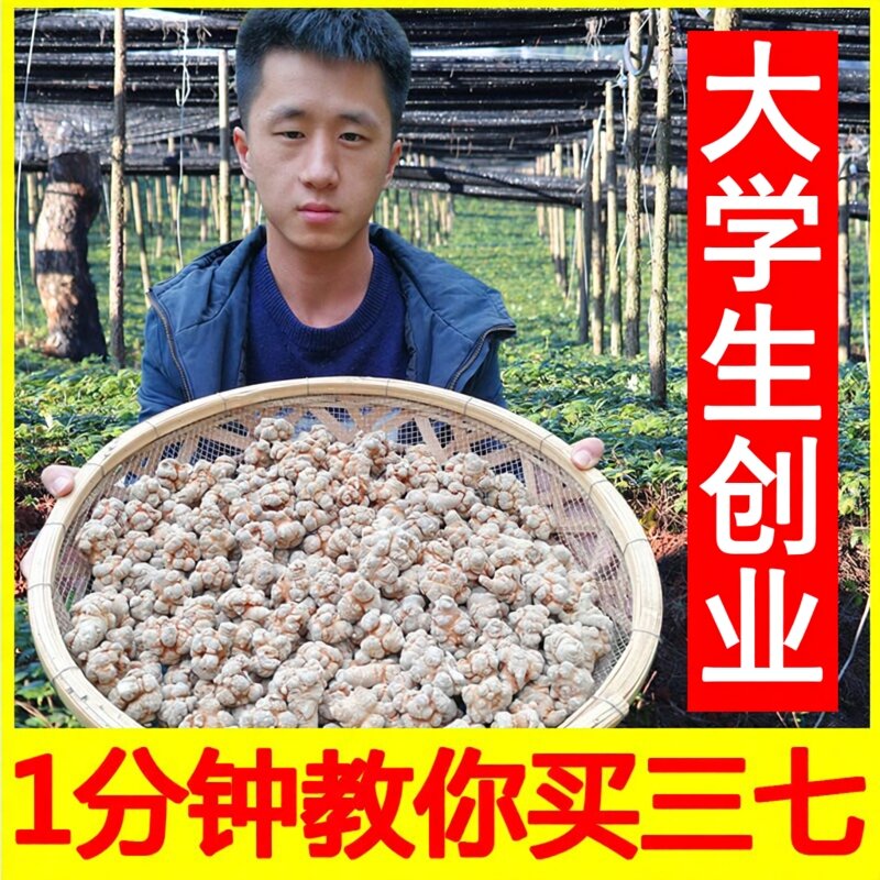 小范云南文山三七特级20头30头40头野生田七片中药材37粉正品500g