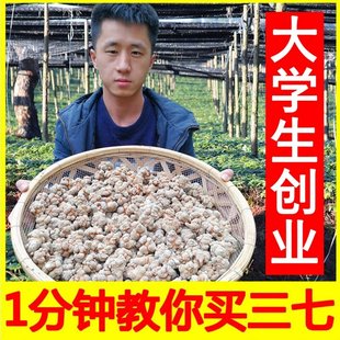 小范云南文山三七特级20头30头40头野生田七片中药材37粉正品 500g