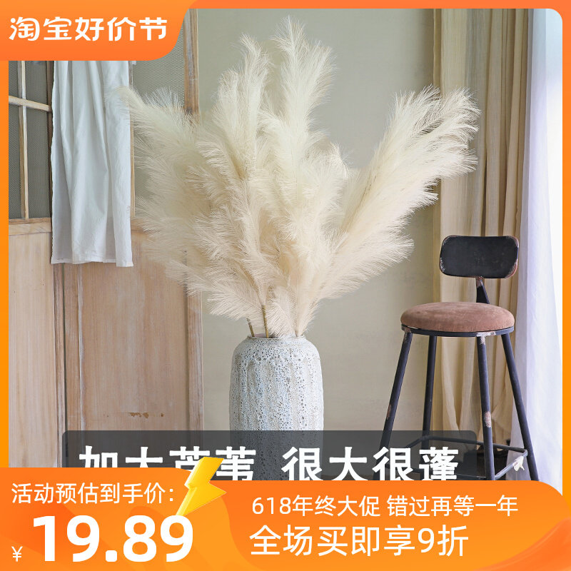 超大仿真芦苇干花真花花束客厅摆设蒲苇鲜花装饰阳台摆件田园风