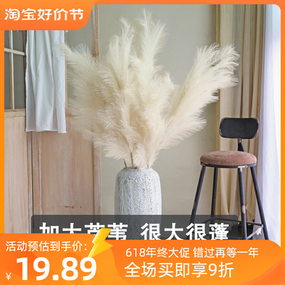 超大仿真芦苇干花真花花束客厅摆设蒲苇鲜花装饰阳台摆件田园风
