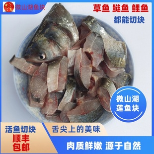 微山湖鲢鱼现杀鱼身切块胖头鱼活鱼现杀鱼块鲢鳙瓦块鱼生鲜顺丰包