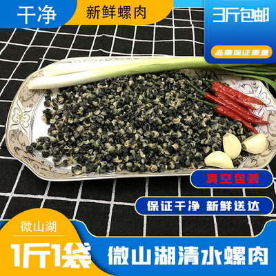 野生速冻石螺肉田螺肉螺丝肉新鲜螺蛳肉螺蛳粉用手工挑制真空包装