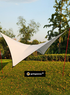 springwavee 天幕双曲率20D龙鳞防晒3*3 米菱形天幕 TARP01