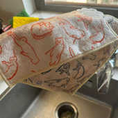 卡通猫咪吸水加厚超细纤维抹布厨房不易沾油擦桌子碗丝光绒百洁布