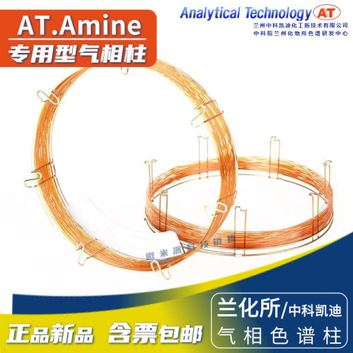 兰化所Amine低碳胺分析柱色谱柱