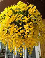 Taiju Dendrobium Gold Dendrobium, с ароматом, без аромата, весны и лета в период цветения, пожалуйста, посмотрите на реальный выстрел, прежде чем разместить заказ