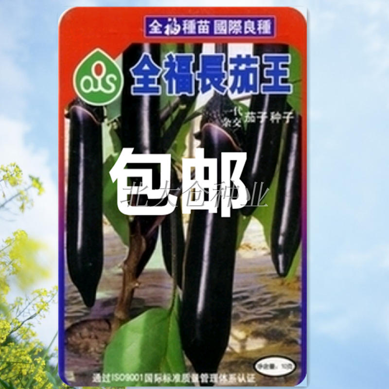 日本进口全福长茄王 高产耐热 大田种植 茄子种子 1000粒袋装包邮