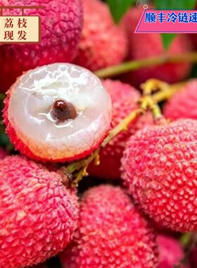 正宗莆田本地现摘荔枝顺丰冷链