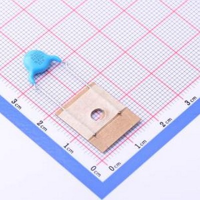 DCF470K30SL G6VK0BT 安规电容 等级:X1,Y1 47pF ±10% 250V 400V