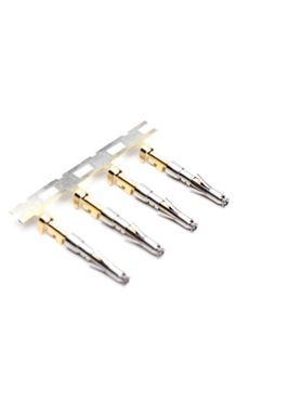 SS24M2F | SS24W2F | SS24W2T