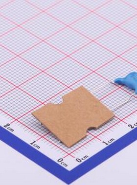 CS45-E2GA102M-VKA 安规电容 等级:X1,Y2 1nF ±20% 300V 440V 插