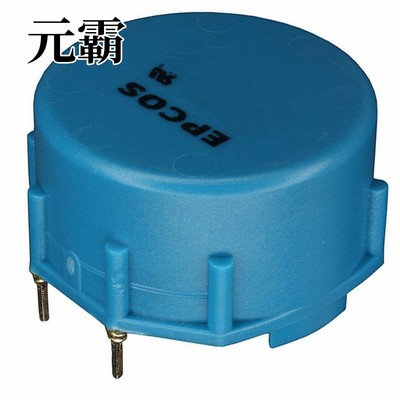 B82725A2602N001 | B82725A2802N001 | B82725J2103N022